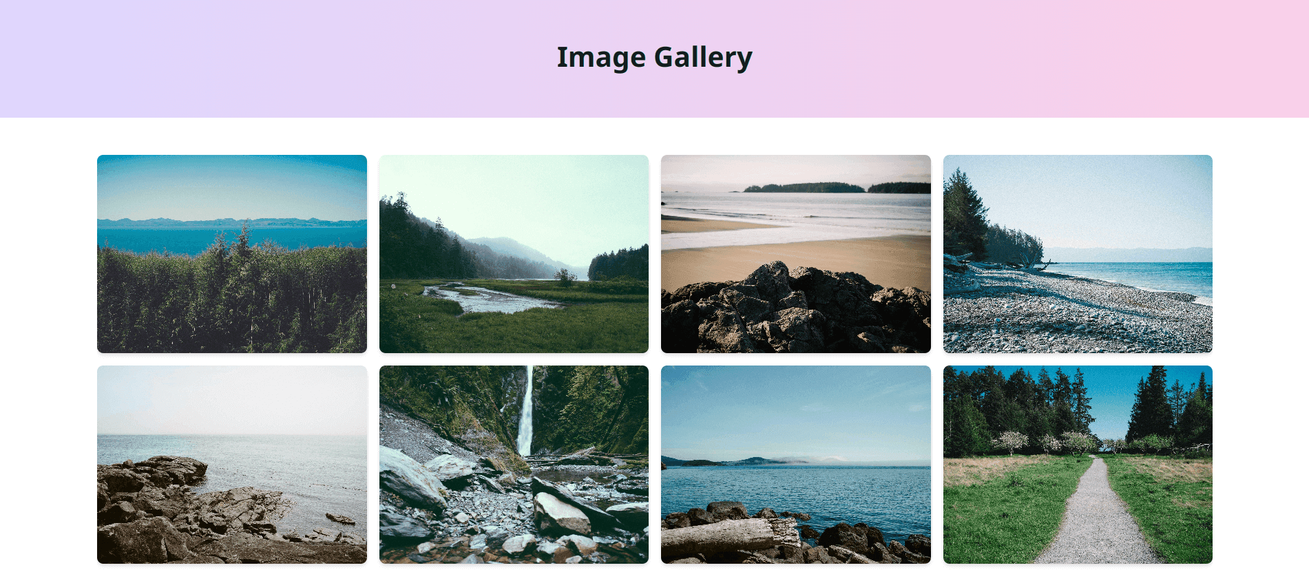 Image Gallery